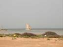 bateau.jpg