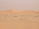 dunes2.jpg