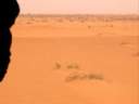 desert.jpg