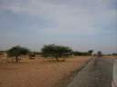 savane3.jpg