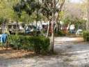 1-camping-granada-2.jpg