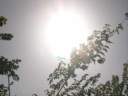 1-algeciras-soleil.jpg