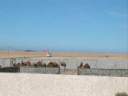 dakhla3.jpg