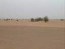 desert2.jpg