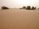 desert3.jpg