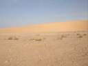 dune4.jpg