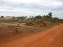 deforestation-dakar2.jpg