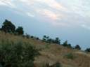 20-savane-verdoyante.jpg