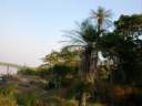 11-bords-fleuve.jpg