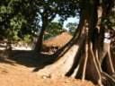2-village.jpg