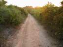 3-chemin-plage.jpg