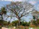 ziguinchor.jpg