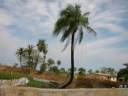 ziguinchor2.jpg