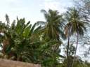 ziguinchor4.jpg