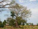 ziguinchor5.jpg